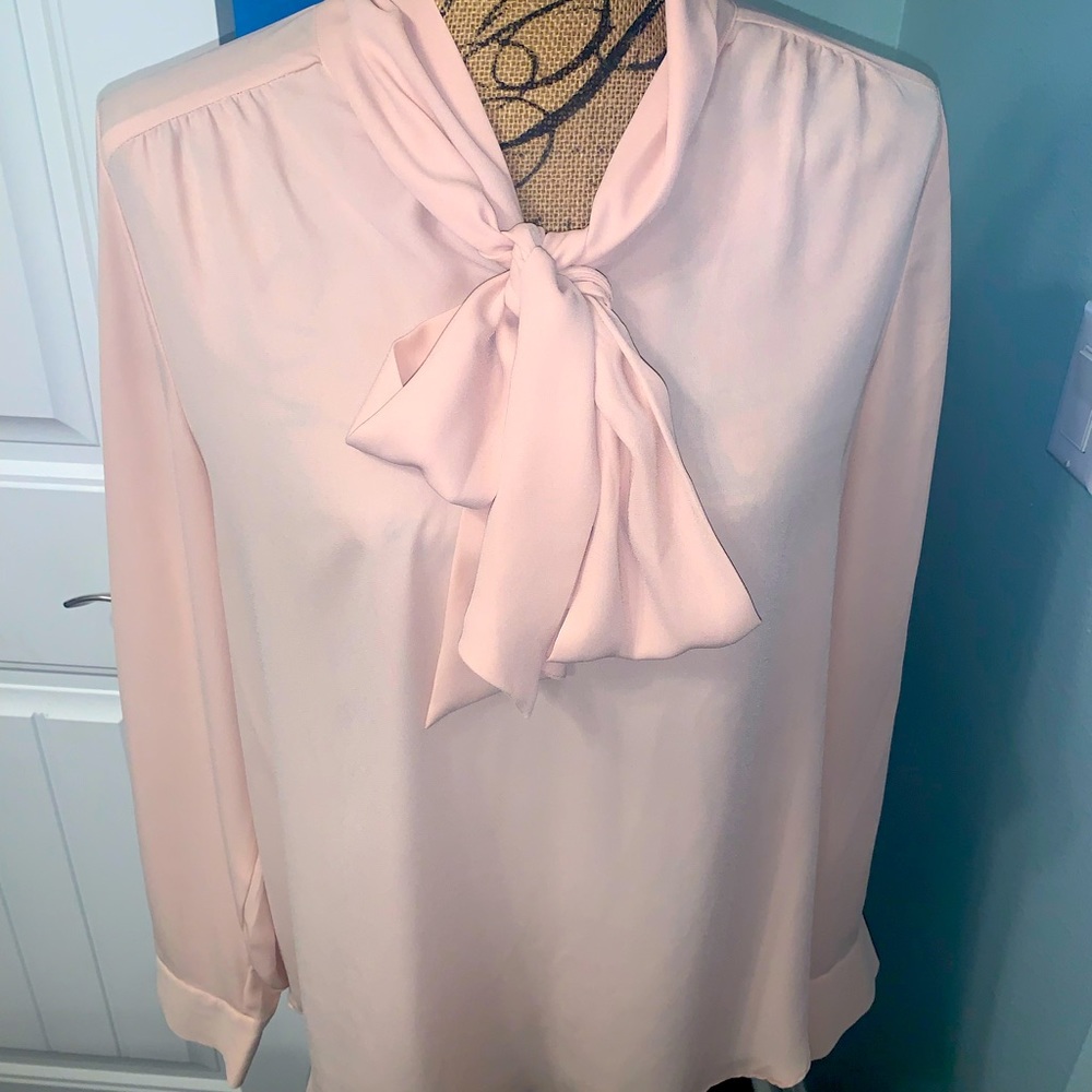Beautiful muted pink work blouse